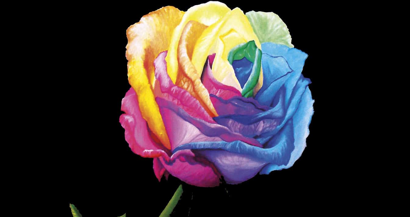 rainbow rose recolored by angelskissme d4t3uj8 fullviewED
